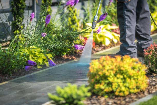  Guerneville, CA Pressure Washing Pros